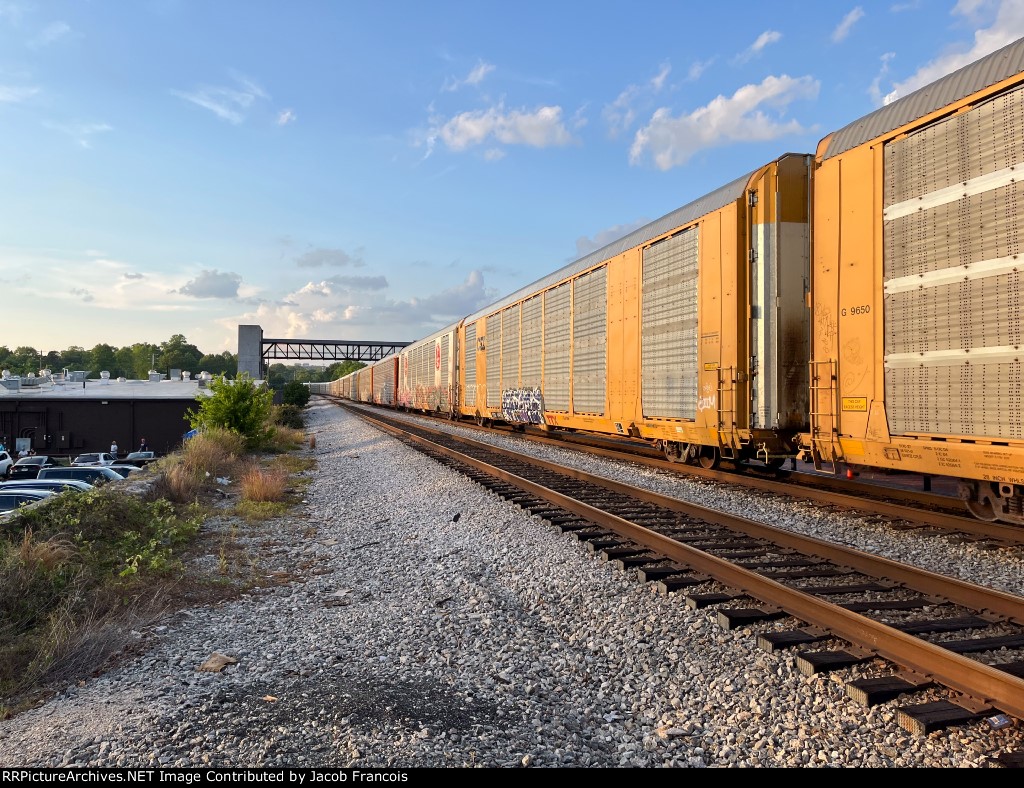TTGX 699733